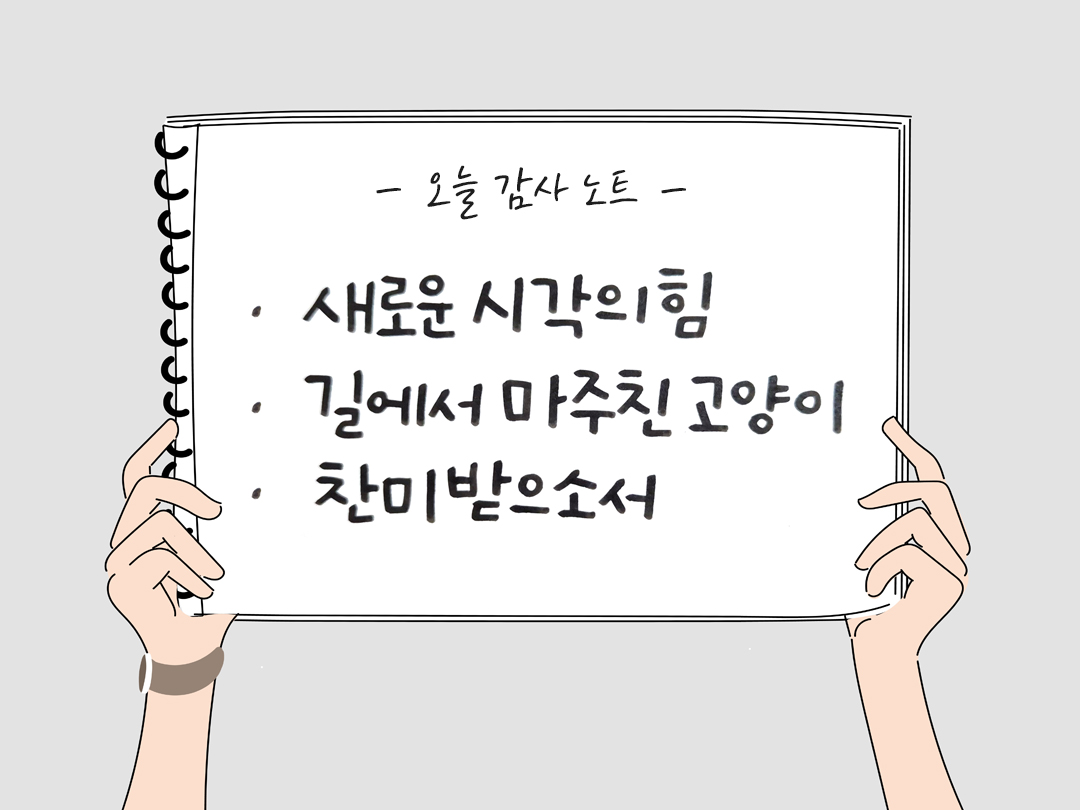 오늘 감사한 순간들, 일상 속 숨겨진 보물찾기