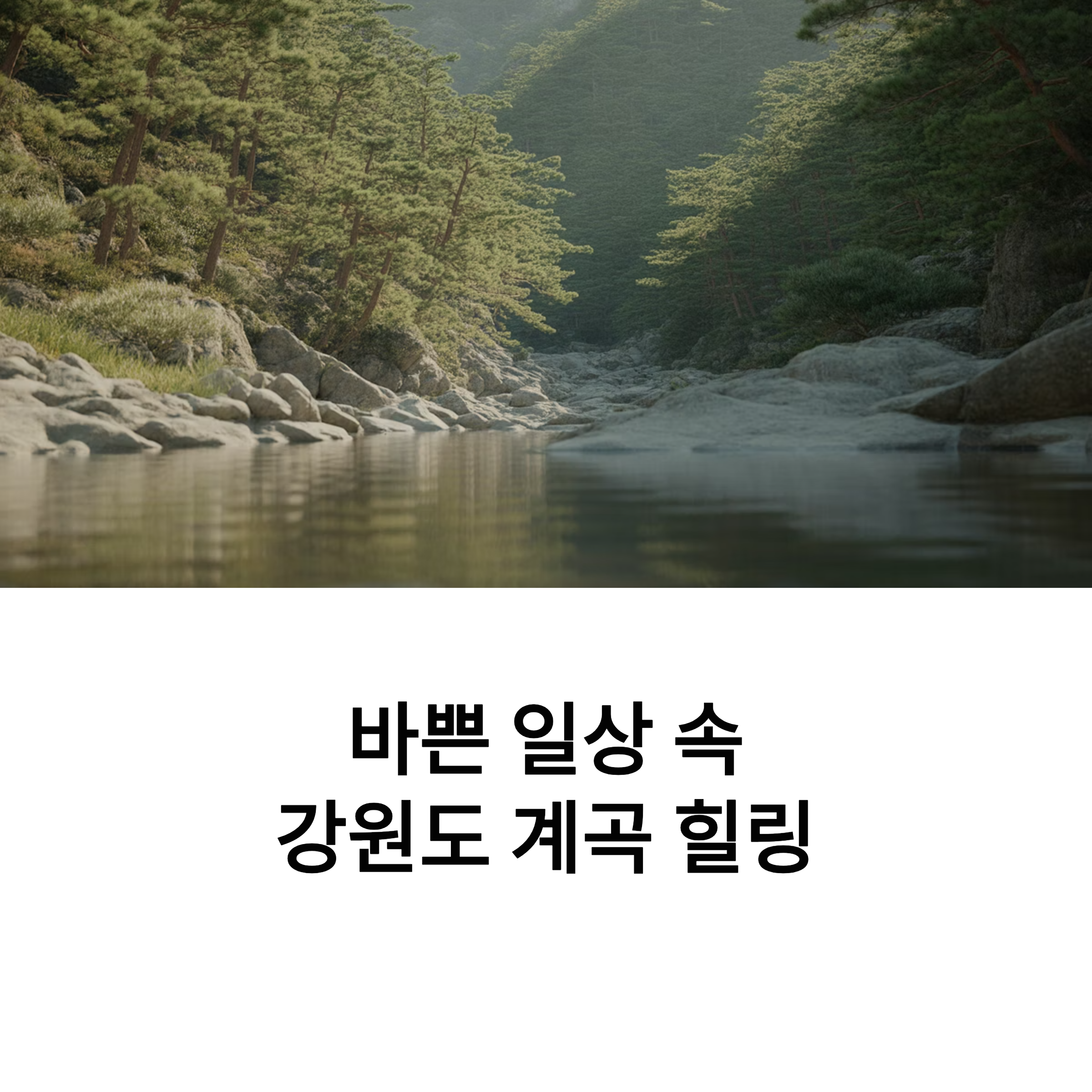 자연과 힐링을 담은 강원도 계곡