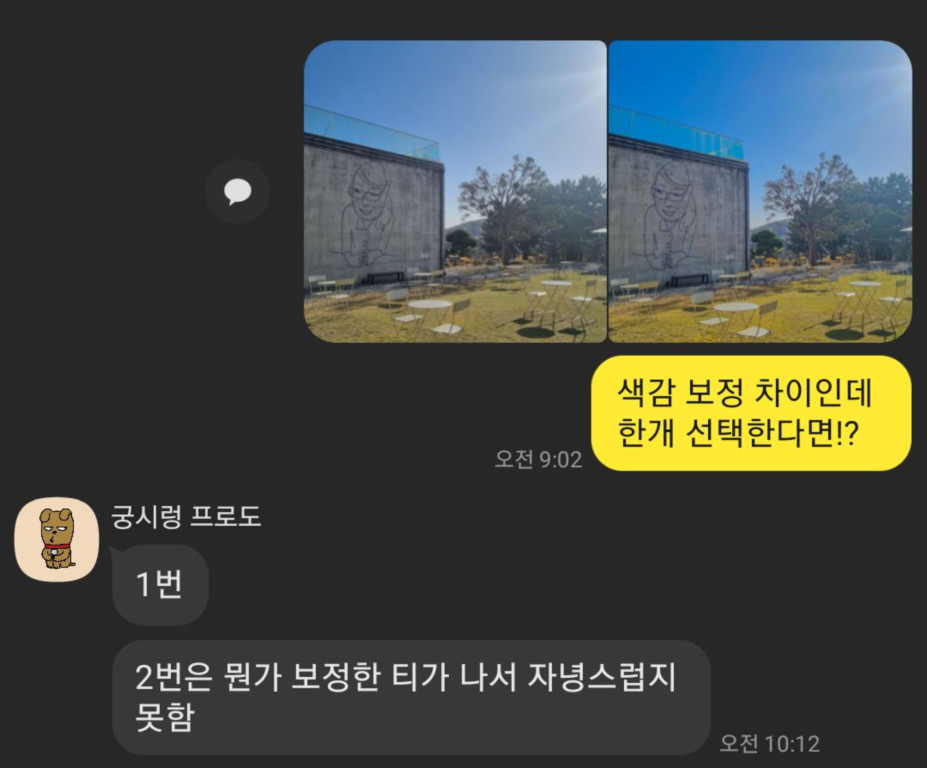 사진 비교 응답 7