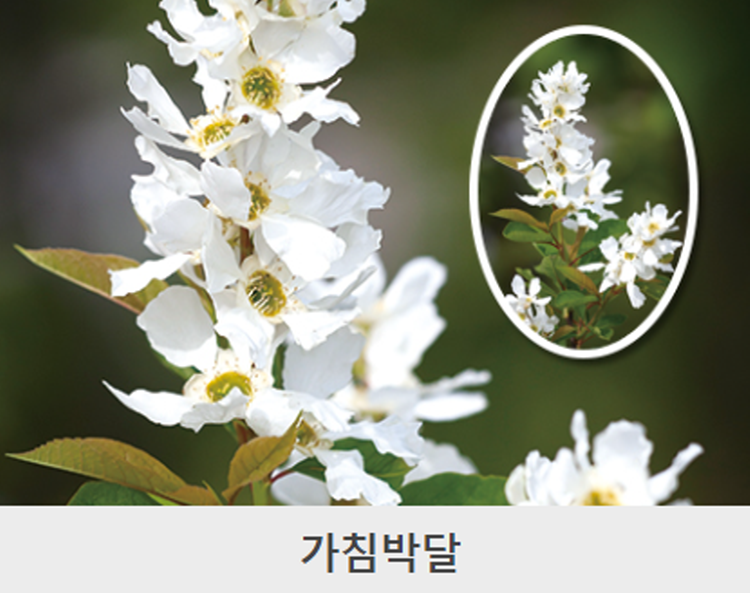 대구 앞산 등산코스