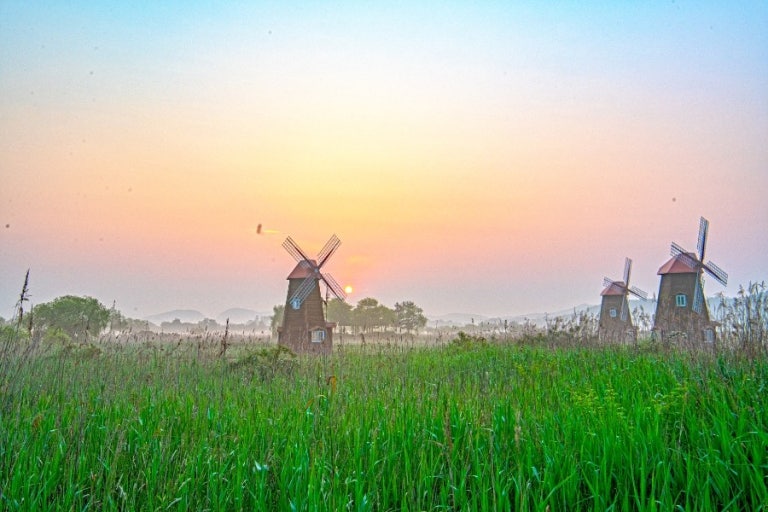 인천 소래습지생태공원 봄 나들이