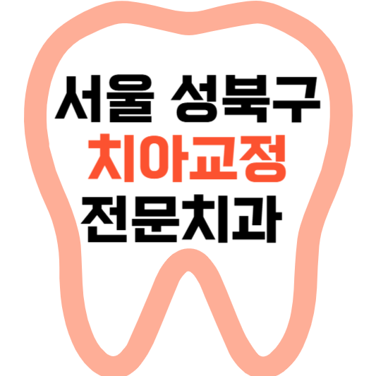 서울 성북구 치아교정 치과 잘하는 곳 전문 치과 추천 .png