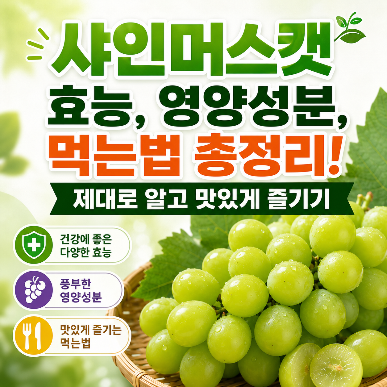 샤인머스캣 효능