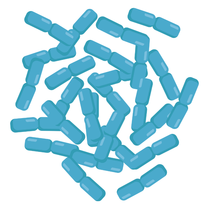 과민성 대장증후군 치료법