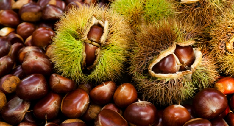 에어프라이어-밤굽기