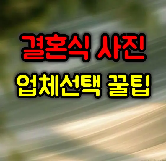 결혼식 사진 업체선택 꿀팁