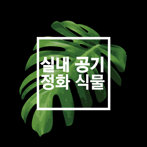 실내 공기 정화 식물