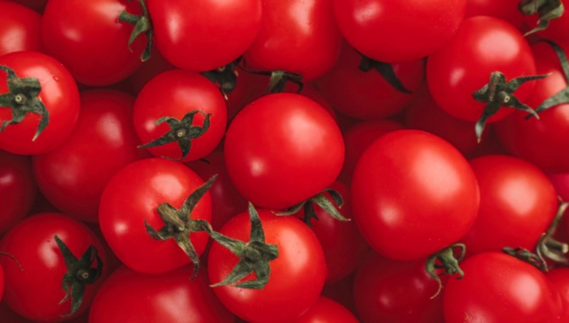 솔라닌의 부작용은?