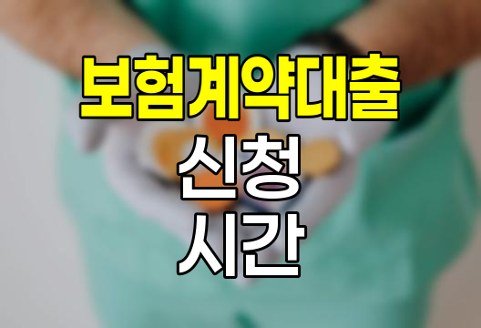한화손해보험 보험계약대출 신청 시간, 개인과 법인의 차이