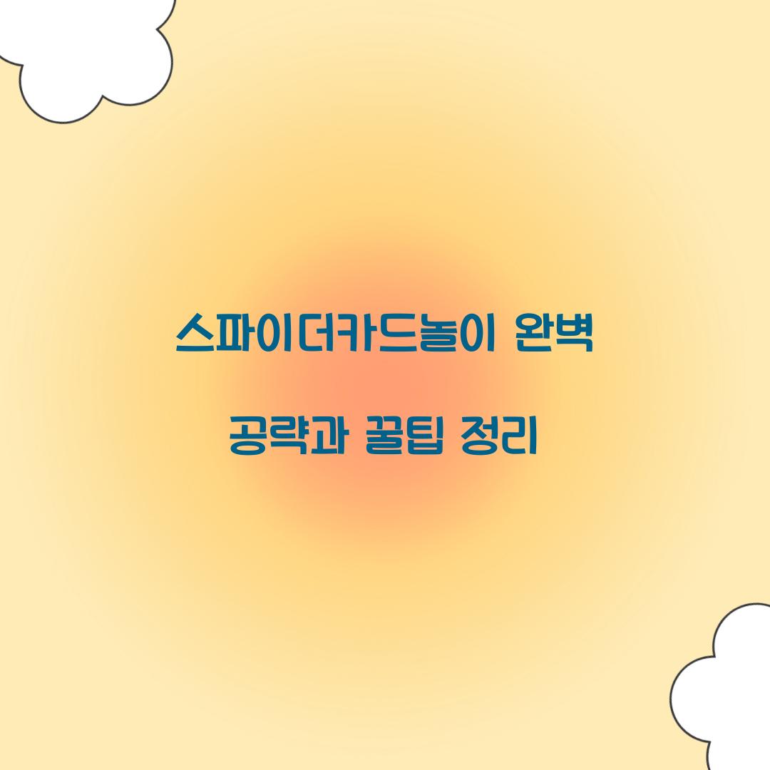 스파이더카드놀이