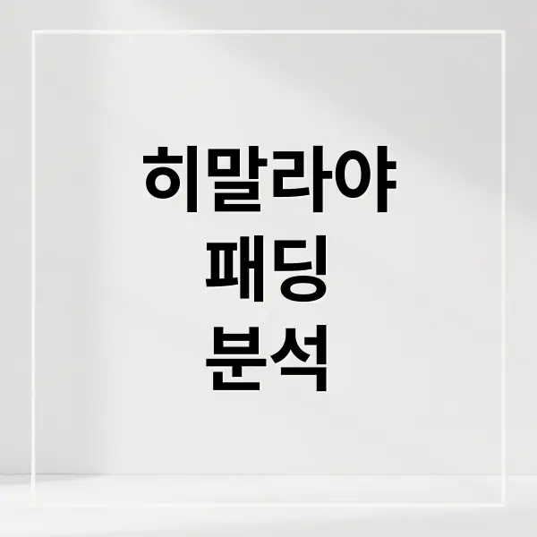 노스페이스 히말라야 패딩