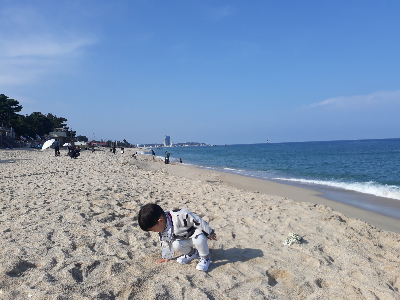 동해 바다