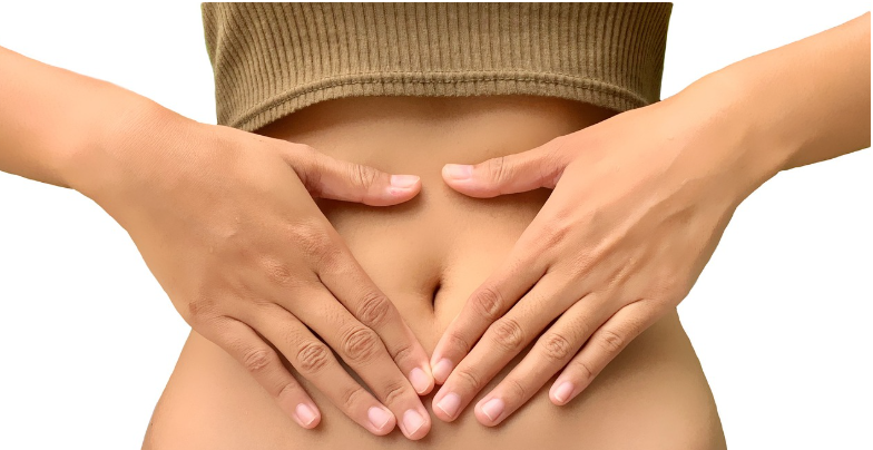 인간의 소화 시스템: 음식의 여정 🍎➡️🦠➡️💪