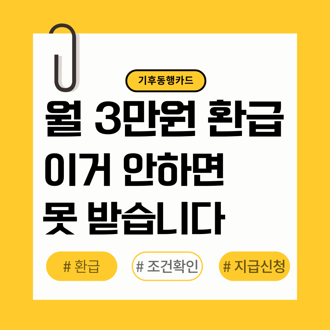 기후동행카드 관련 사진