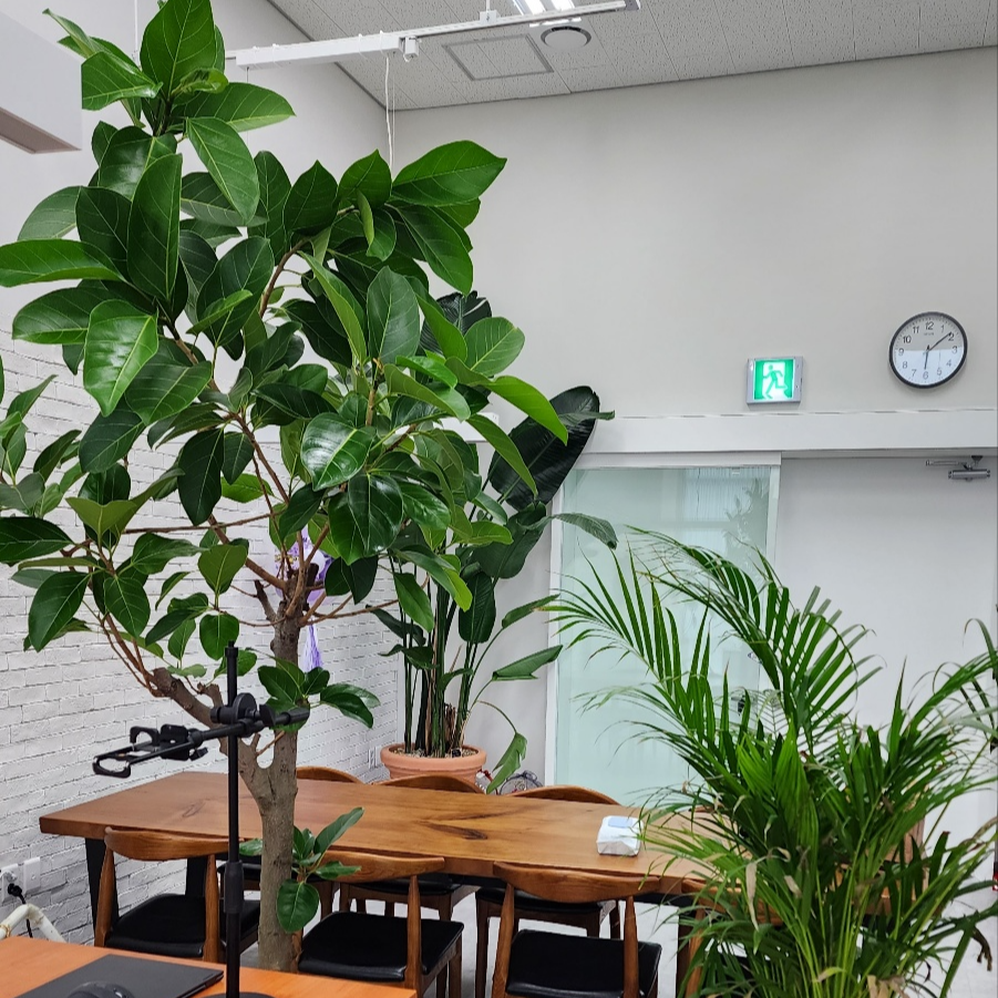 뱃살 줄이는 효과적인 생활 습관