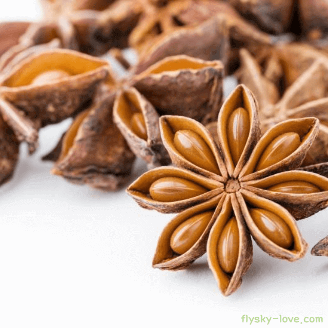 스타아니스 활용하는 법