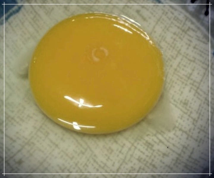 청란의 효능, 먹는 방법, 그리고 가격에 대하여