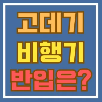 비행기 기내 수하물 반입 가능 금지 물품 2025년 기준 총정리_28