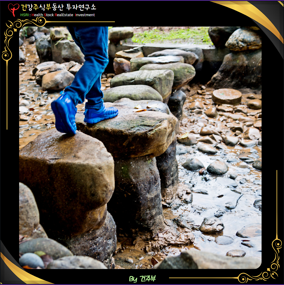 디딤돌 대출 금지

(글 그림: 건주부, 그림출처 : Canva)