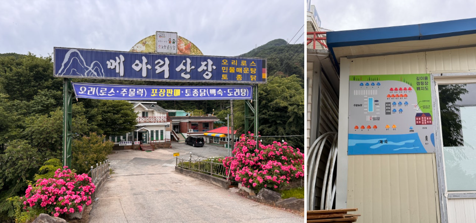 포천 깊이울캠핑장