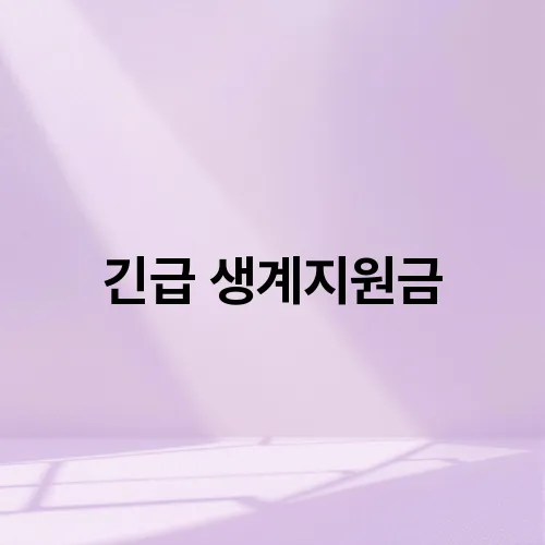 긴급 생계지원금