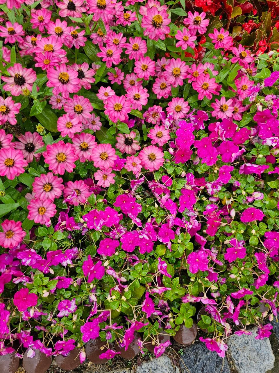 장애인 부모가 꼭 알아야 할 정책