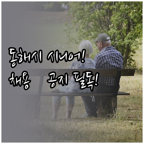 동해시 시니어클럽 홈페이지 공지사항 ..