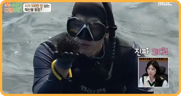 푹 쉬면 다행이야 재방송 다시보기 (+ 촬영지, 게스트, 이대호, 무인도 위치)