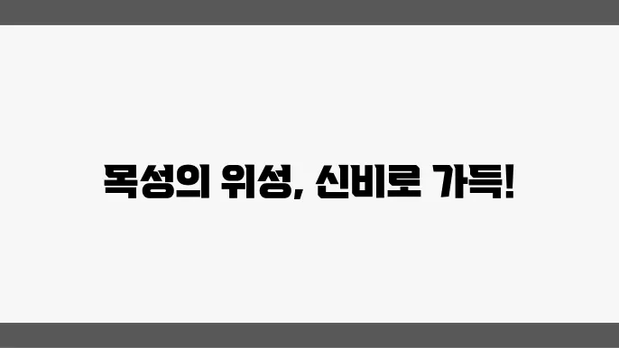 국제아울 번도 이 번도 번호번팸번