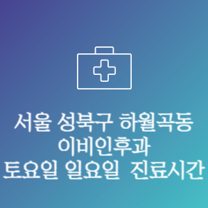 서울 성북구 하월곡동 이비인후과 주말 토요일 일요일 문여는 병원 진료시간