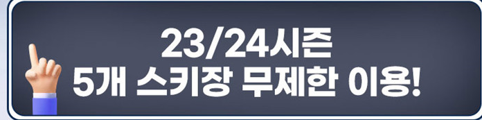 5개 스키장 무제한 이용