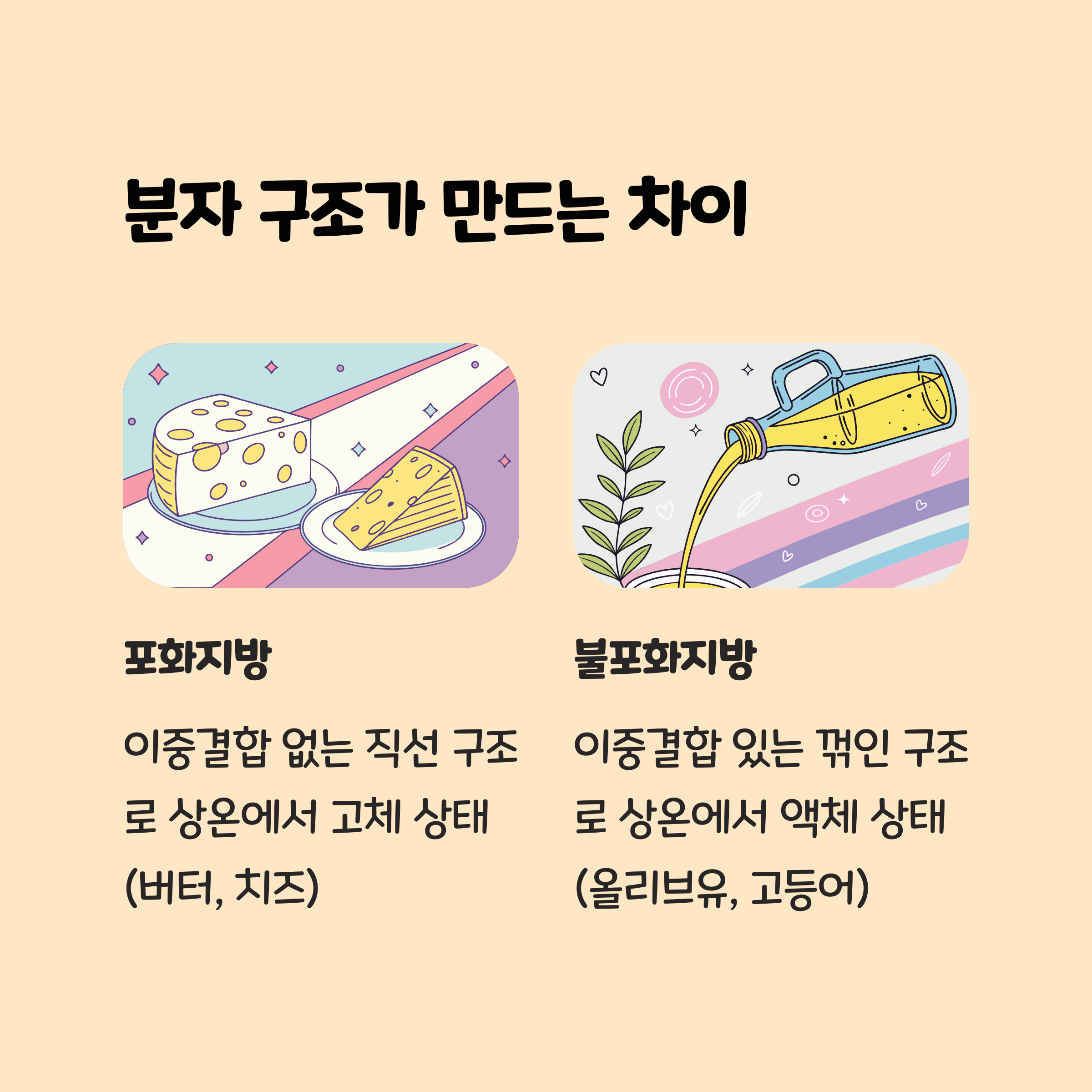 포화지방은 고체, 불포화지방은 액체로 구분되는 이유