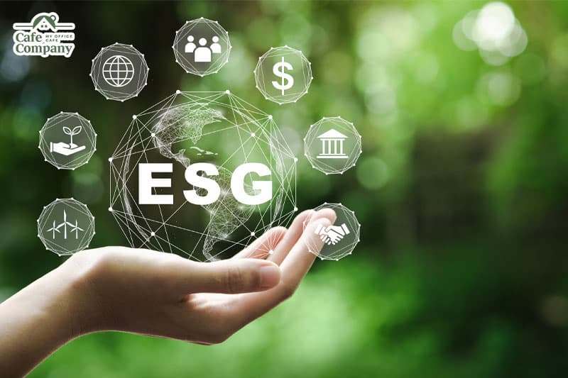 ESG 경영 확산과 친환경 인증 기업 주가 흐름 분석