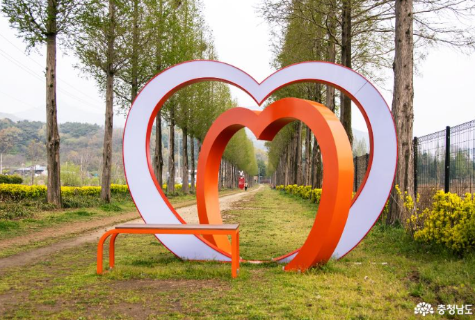 덕산 메타세콰이어길