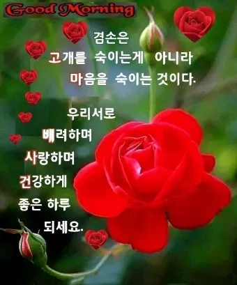 아침 인사말 이미지 모음 밝고 따뜻한 하루 인사 문구 정리_38