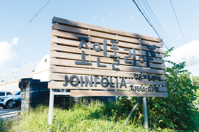조인폴리아 전경 사진