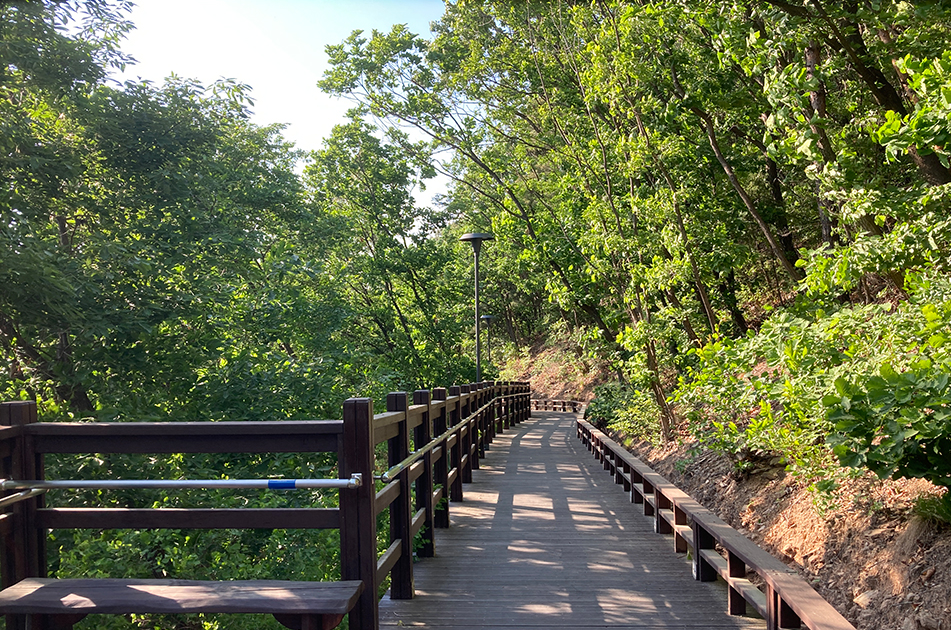 겨울에도 OK! 반려견과 함께하는 나들이 장소 BEST 7