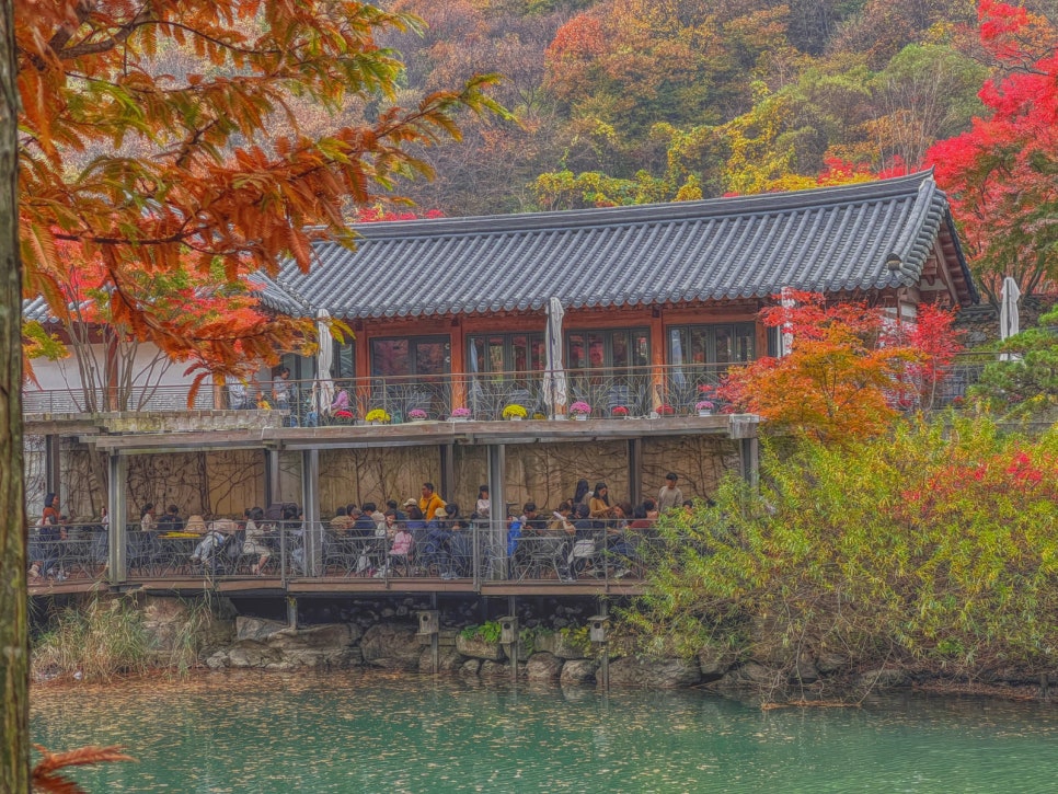 화담숲-예약-방법-2025년-최신-입장료-완벽-가이드