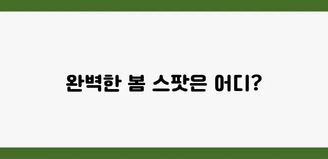 SNS 핫플 모음! 지금 떠나야 할 봄 인생샷 스팟 7곳
