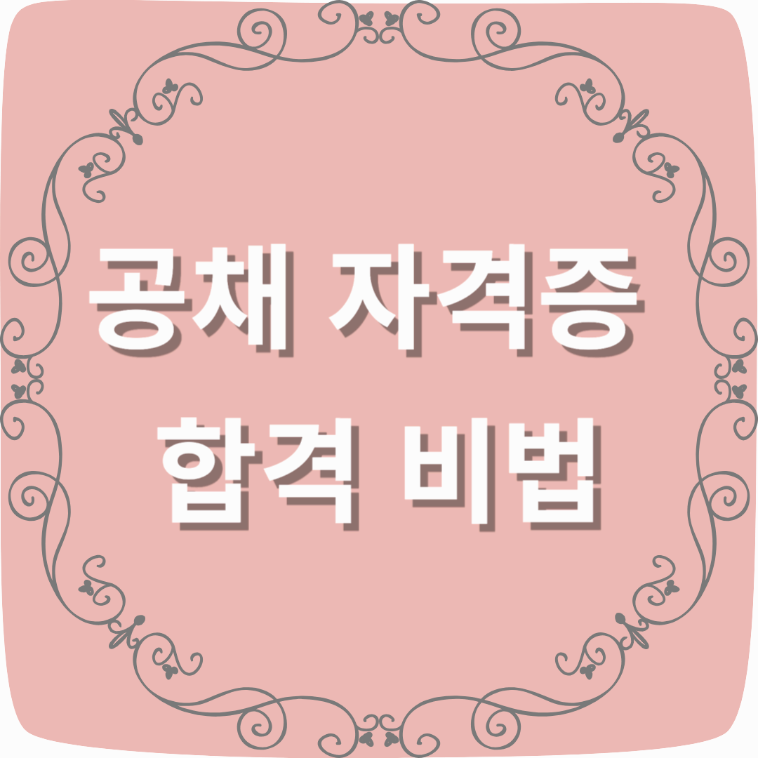 공채 자격증 합격 비법: 필수 자격증과 효율적인 공부 방법 총정리