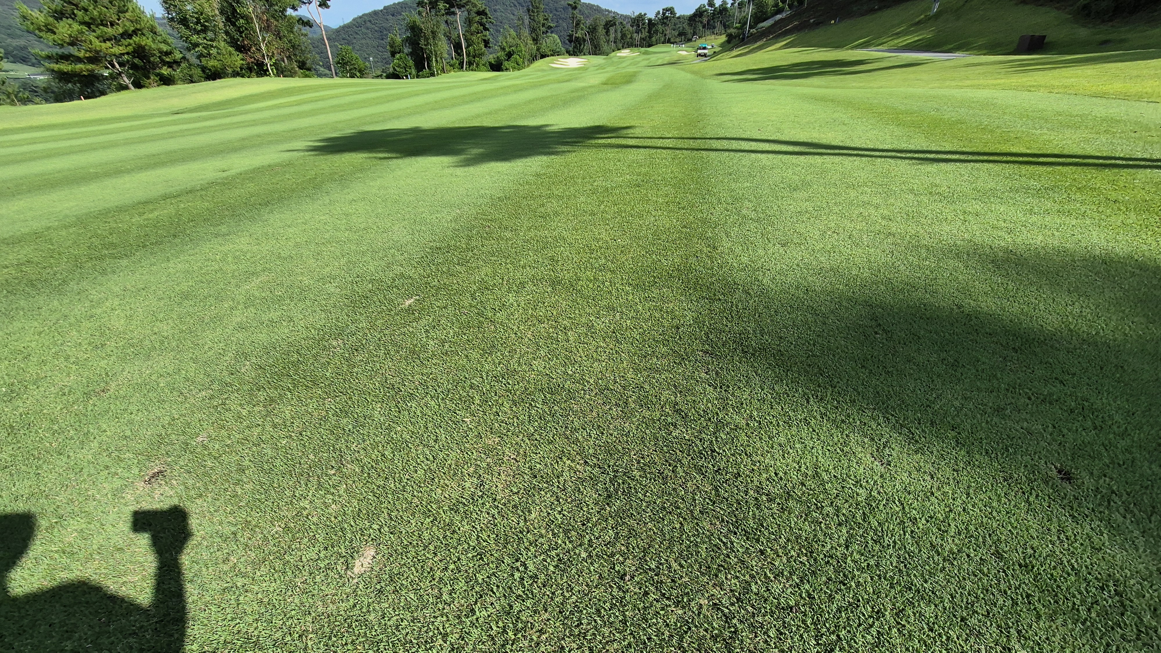 세일cc 들길-산길 코스 라운드 후기