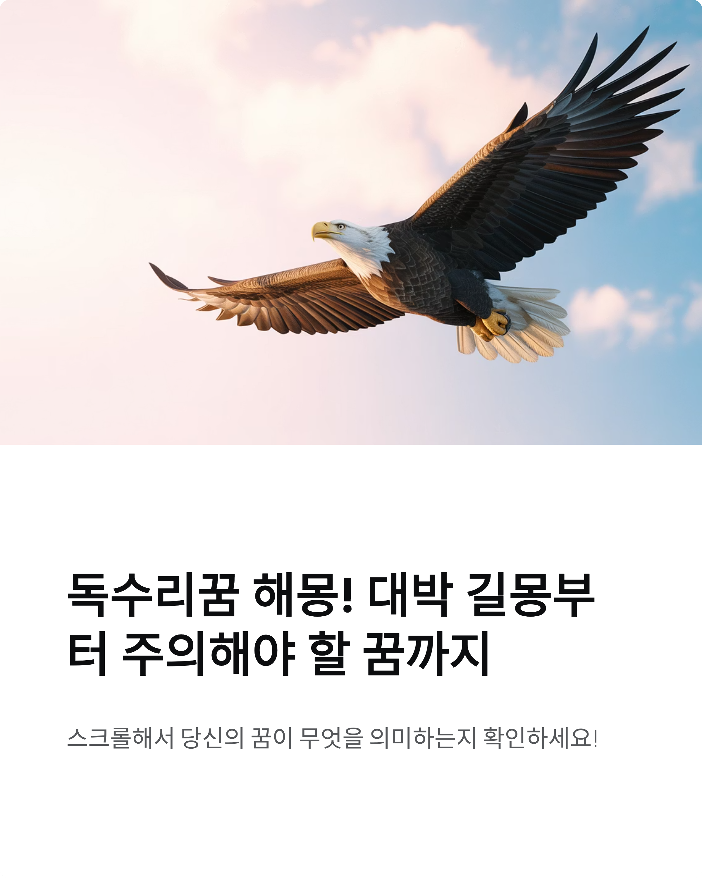 독수리꿈 해몽! 대박 길몽부터 주의해야 할 꿈까지
