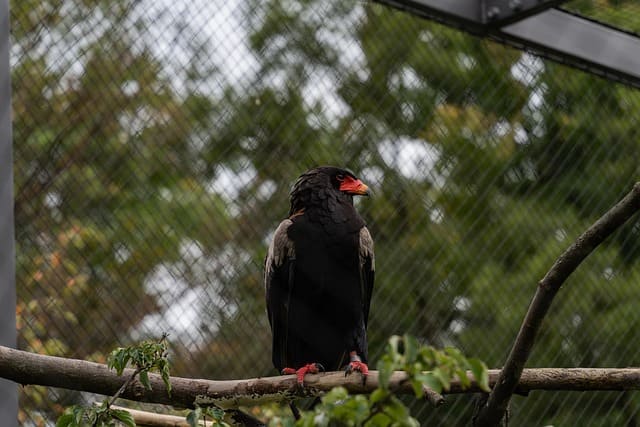 무순위 청약 줍줍