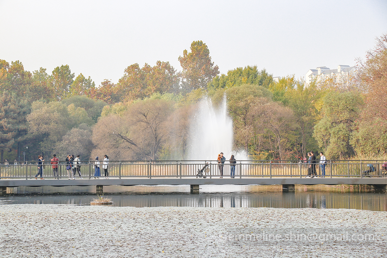 서울숲은 시민들의 휴식처이자 해외 여행객들의 여행코스로 인기가 많답니다. 호수의 분수도 예뻐서 사진을 많이 찍으세요.