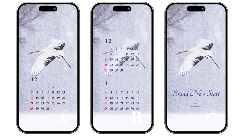 09 눈 위를 나는 학 ABC - 2025년12월 아이폰배경화면