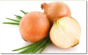 양파 먹는 방법과 양파 효능 양파 부작용 완전 가이드_10