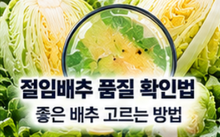 2026 절임배추 사전예약 20kg 가격 비교와 예약 시기&amp;#44; 김장 준비 방법 총정리 