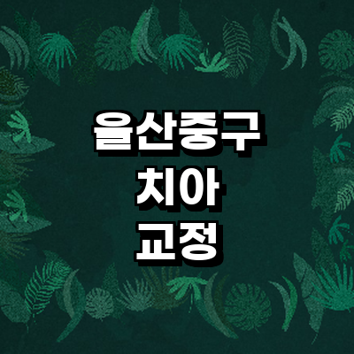 울산 중구 교정 치과