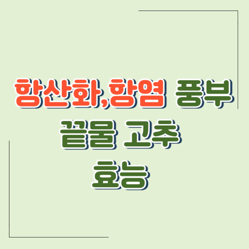 끝물 고추의 놀라운 효능! 2025년 항산화&항염증 최강 비법 공개!