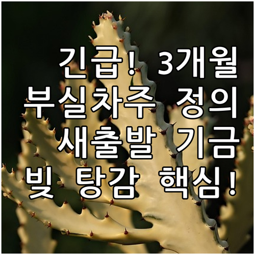 3개월 연체 부실차주 정의, 새출발기..